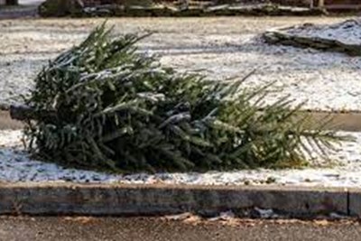 Leaf & Yard Waste Collection/Christmas Tree Collection