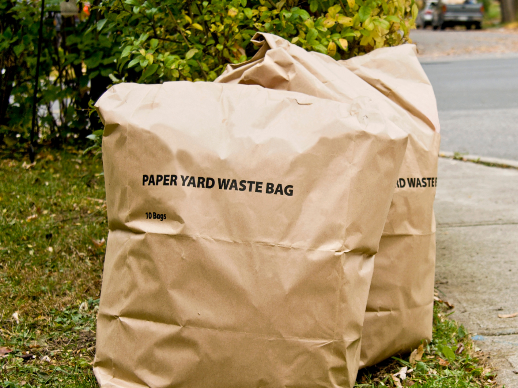 Yard Waste Website