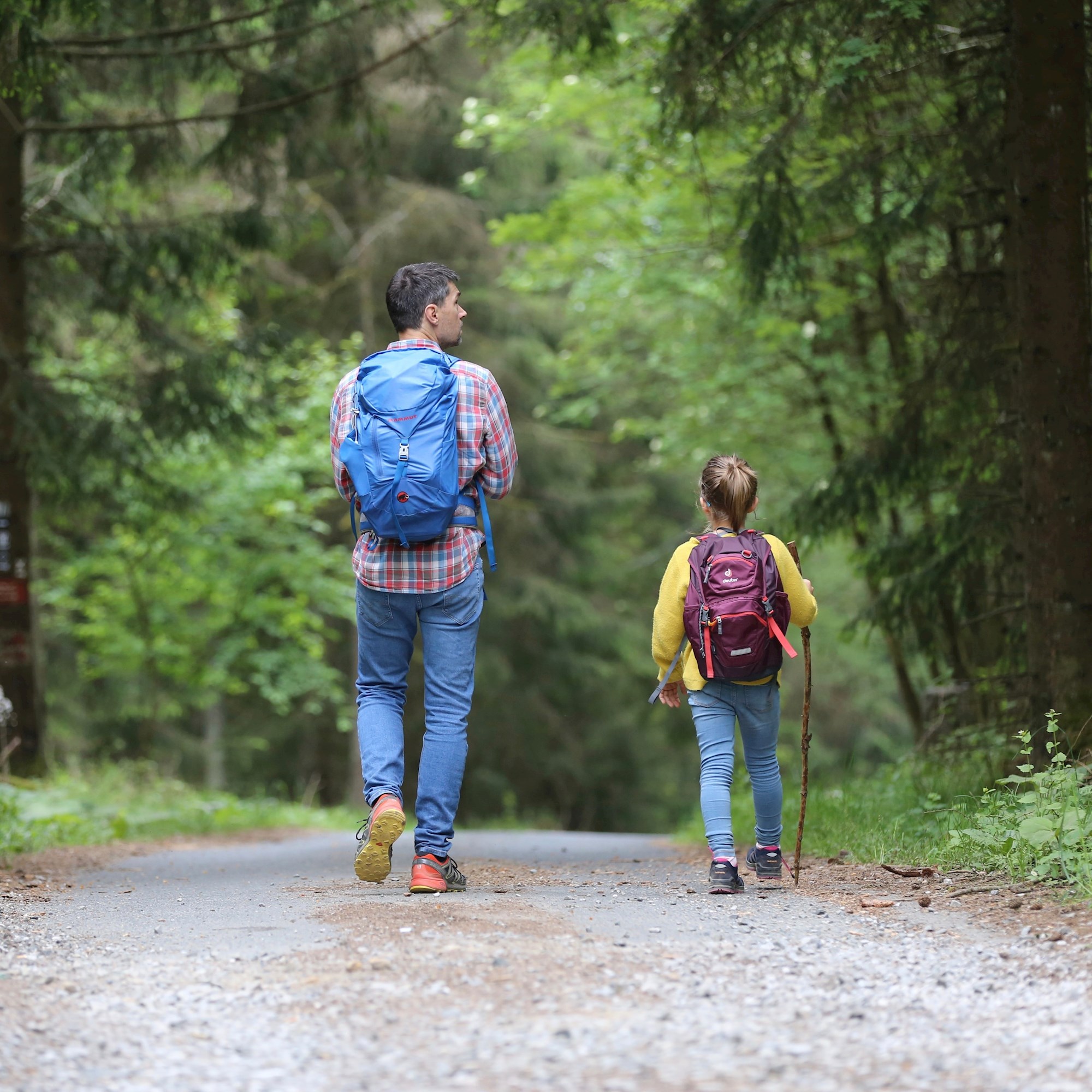 Route 332 Trail Connection