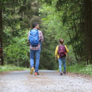 Route 332 Trail Connection