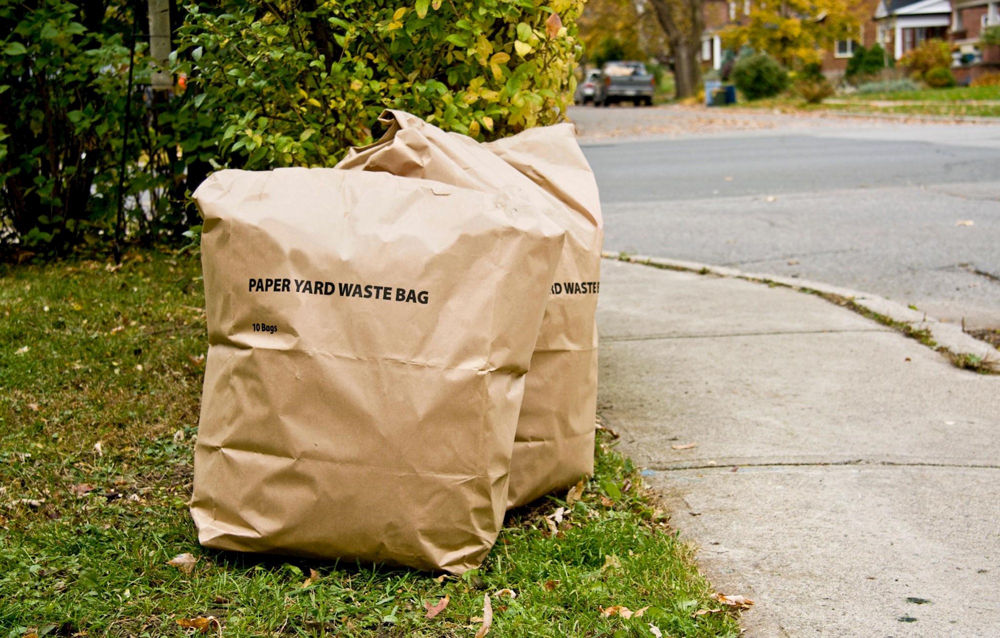 Reminder-Yard Waste Collection Begins April 1st